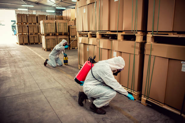 Trusted Mokuleia, HI Pest Control Experts
