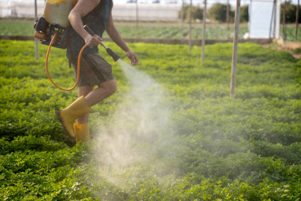Best Exterminator Services  in Mokuleia, HI