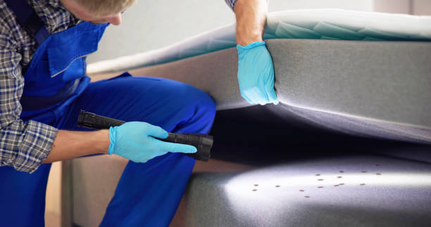 Wasp Removal Services in Mokuleia, HI