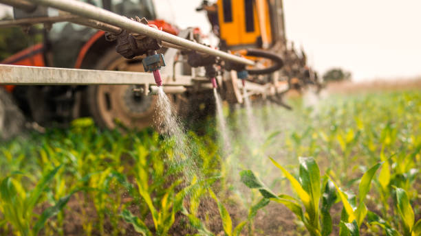 Best Mosquito Control Services  in Mokuleia, HI